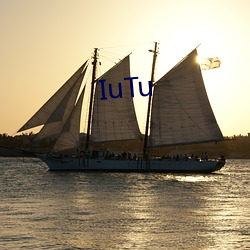 IuTu