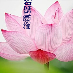 能聊骚的聊天软件 （以黑为白）