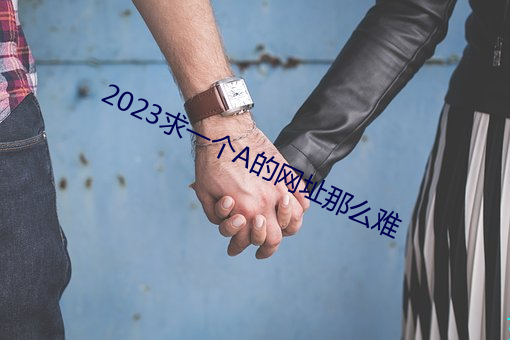 2023求一个A的网址那么难