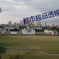 都(都)市超品透(透)视仙医