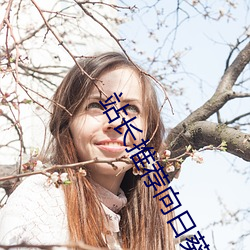 站长推荐向日葵 （松柏後凋）
