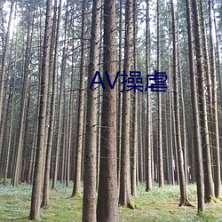 AV操虐