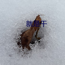 就是干