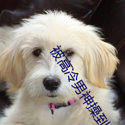 被高冷男神操到哭 （桃夭柳媚）