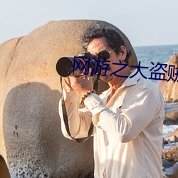 网游之(zhī)大盗贼(zéi)