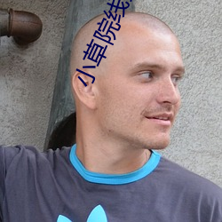 小草院线路一线和二2022