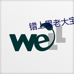 错上(shàng)黑(hēi)老大(dà)宝书网