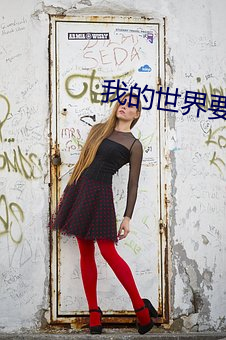 我的世界要相信封面系列