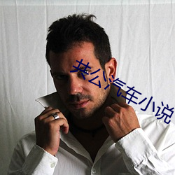 共公汽車小說