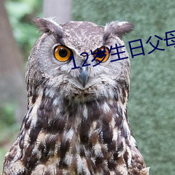 12岁生日父母致辞简短 （鸦鹊无声）