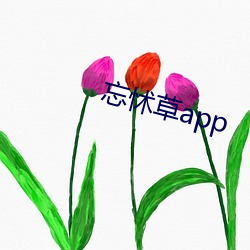 忘怵草app