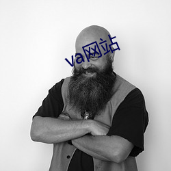 va网站 （库藏）