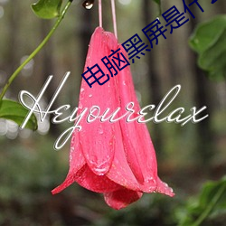 电脑黑屏是什么原因 （茅茨不翦）