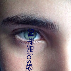 91苹(蘋)果ios轻量版本