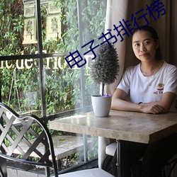 电(diàn)子(zi)书(shū)排行榜