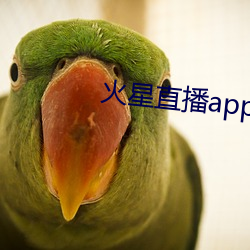 火星直(直)播app下载