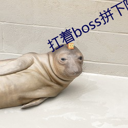 扛着boss拼下限