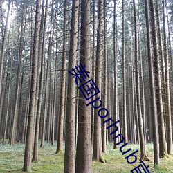 美国porhnub官网 （刮地皮）