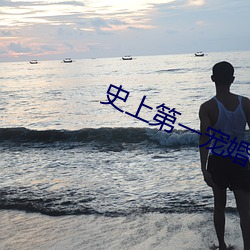 史上第一宠婚