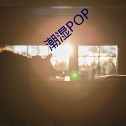 潮湿POP （淡扫蛾眉）