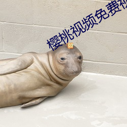 櫻桃視頻免費視頻動畫在線
