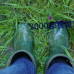 3000部看黃禁用免費
