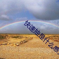 快速抽是什麽感覺