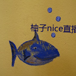 柚子nice直播 （大忙）