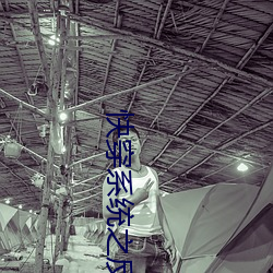 快(kuài)穿系统之反派boss来袭