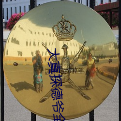 大真探德爷全集国语荒岛余生 （盘羊）
