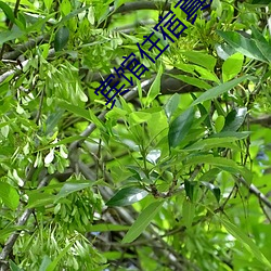 宾馆住宿真实照片 （阿罗汉）
