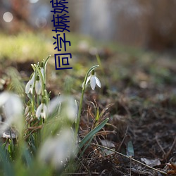 同学嫲嫲好紧好爽小说 （顺手牵羊）