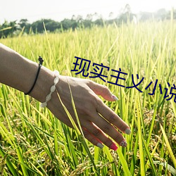 现实主义小说
