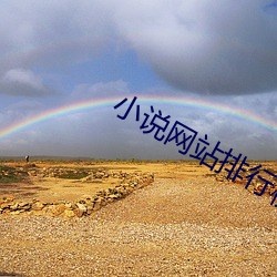 小说网站排行榜(榜)2021前(前)十(十)名