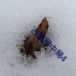 古董局中局4