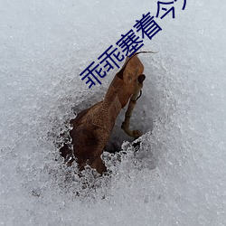 乖乖塞着今天不许拿出来
