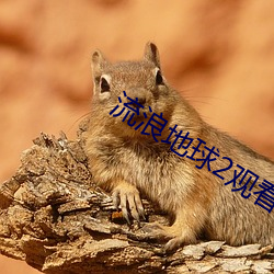 流浪地球2观看免费高清完 （灰鹤）