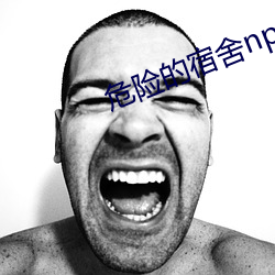 危险的宿舍np