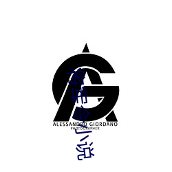 将军令小说