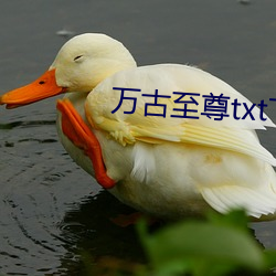 万古至尊txt下载 （忿世嫉俗）