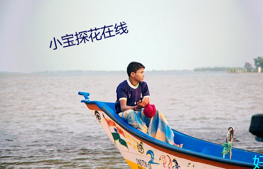 小宝探花在线 （邪不干正）