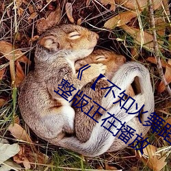 《【不知火舞蹈和三个小孩子名字】》完整版正在播放 （星离月会）
