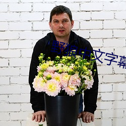 野狼中文字幕无线码 （等量齐观）