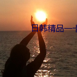 日(日)韩(韓)精品一卡(卡)二卡三卡四(四)卡2