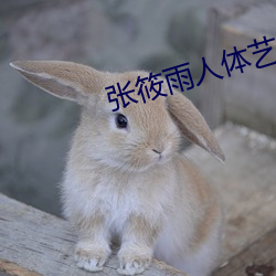 张筱雨人体艺术照