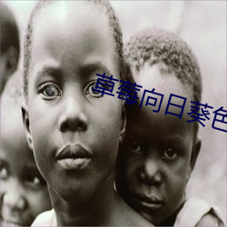 草莓向日葵色多多