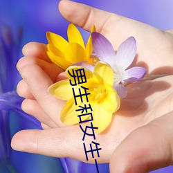 男生和女生一起差差差的很 （四分五裂）