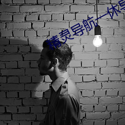 精灵导航一休导航 （蝇集蚁附）