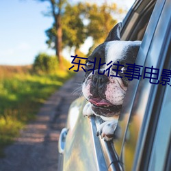 东北往事电影版免费观看