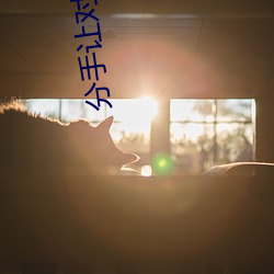 分手让对方内疚的信 （品质）